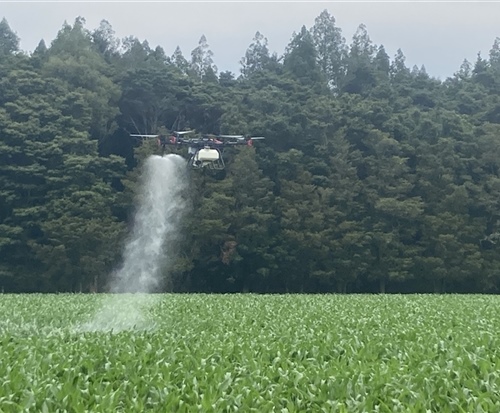 drone applying pesticides over leafy crops