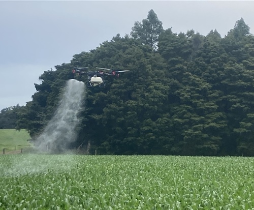 drone applying applying fertilizer to crops