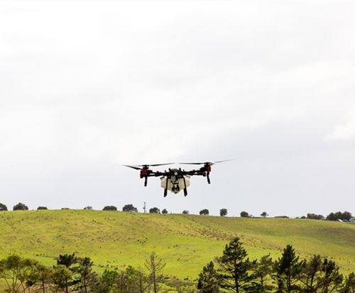 Drone flying over pasture farm