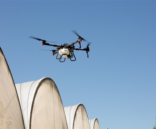 Drone flying over North Island poly tunnels