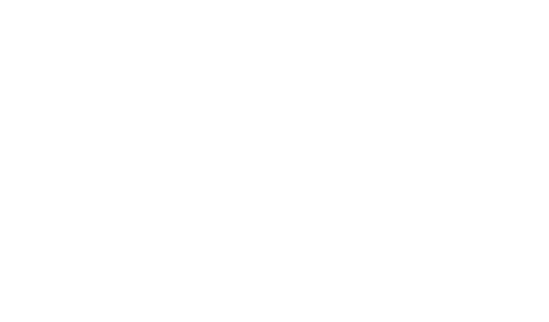 Mahi Drones - Building Treatment Solutions