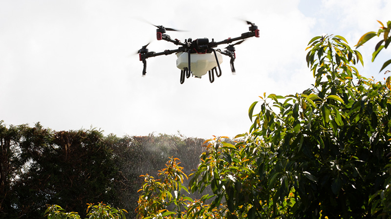 drone spraying foliar feeds onto crops in Northland