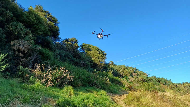 Drone Spraying 