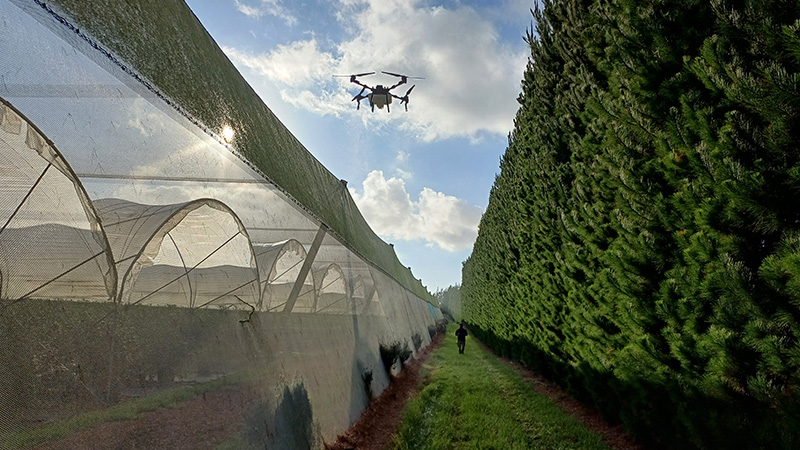 Mahi Drones applying fungicide on ground crops