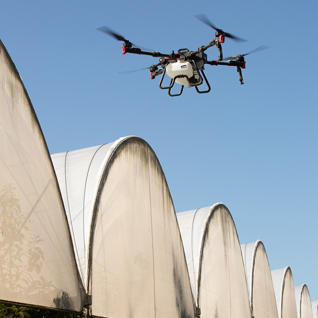 Drone Spraying in a Horticulture Orchard in Northland