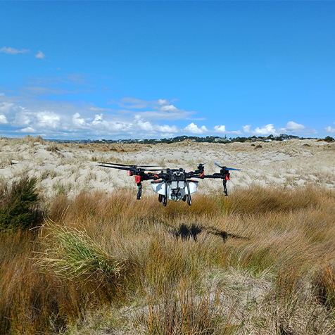 Drone Spraying in a Horticulture Orchard in Northland