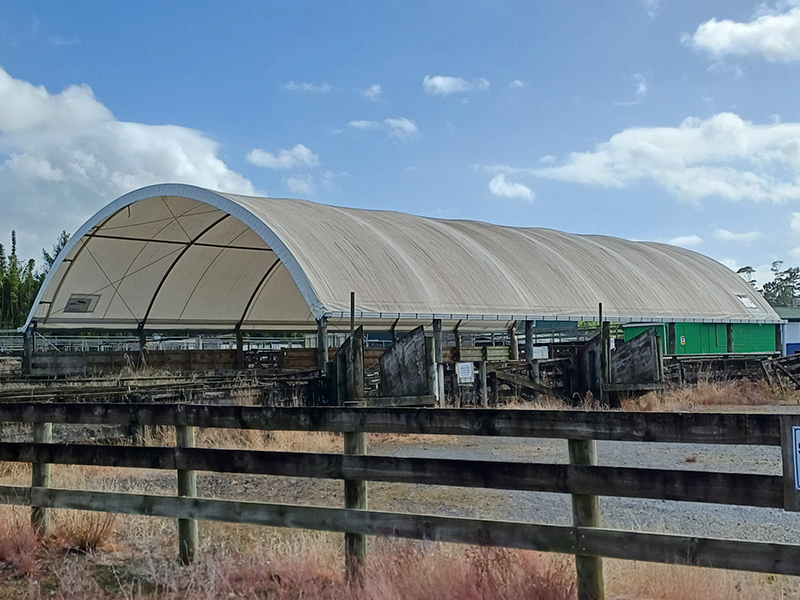 Herd home before treatment with moss mould and lichen remover