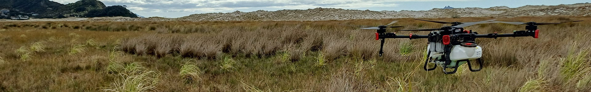 Drone Spraying for native tree plantings